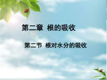 《第二节 根对水分的吸收》PPT课件3-冀少儿版生物八年级上册