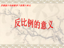 苏教版数学六年级下册6.3《反比例意义》PPT课件(共16页)