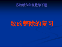 苏教版数学六年级下册7 总复习《数的整除的复习》PPT课件(共12页)