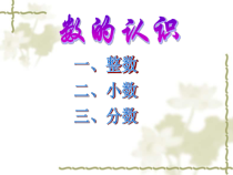 苏教版数学六年级下册7 总复习《数的认识》PPT课件(共55页)