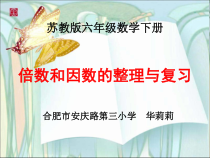 苏教版数学六年级下册7 总复习《倍数与因数的复习》PPT课件(共14页)