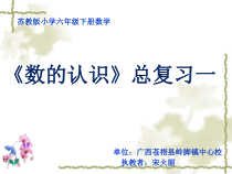 苏教版数学六年级下册7 总复习《整数、小数的认识（1）》》PPT课件 (共10页)