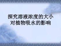 《第三节 无机盐与植物的生长》PPT课件1-冀少儿版生物八年级上册
