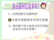 《第二节 土地资源》PPT课件2-人教版地理八年级上册