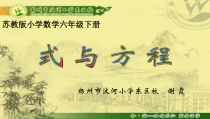 苏教版数学六年级下册7.1 总复习《式与方程》PPT课件 (共17页)