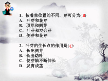 《第三节 芽的发育》PPT课件2-冀少儿版生物八年级上册