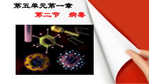 《第二节 病毒》PPT课件1-冀少儿版生物八年级上册
