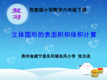 苏教版数学六年级下册7.2 总复习《图形与几何—立体图形的表面积和体积》PPT课件(共22页)