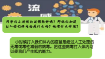 《第二节 病毒》PPT课件2-冀少儿版生物八年级上册