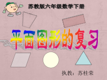 苏教版数学六年级下册7.2 总复习《图形与几何—平面图形的认识（2）》PPT课件(共23页)