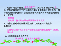 《第二节 光合作用的原料》PPT课件1-冀少儿版生物八年级上册