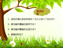 《第二节 食用真菌》PPT课件1-冀少儿版生物八年级上册