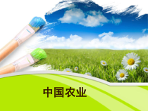 《第二节 农业》PPT课件3-人教版地理八年级上册