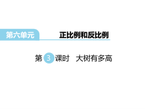 苏教版数学六年级下册第6单元《正比例和反比例第3课时 大树有多高》PPT课件 (共16页)