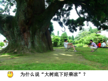 《第二节 蒸腾作用》PPT课件1-冀少儿版生物八年级上册