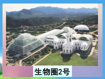 《第五章 绿色植物在生物圈中的作用》PPT课件2-冀少儿版生物八年级上册