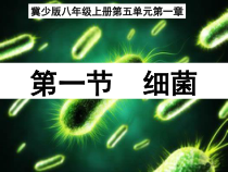 《第一节 细菌》PPT课件3-冀少儿版生物八年级上册