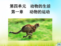 《第一节 运动的基础》PPT课件1-冀少儿版生物八年级上册