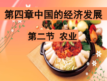 《第二节 农业》PPT课件4-人教版地理八年级上册