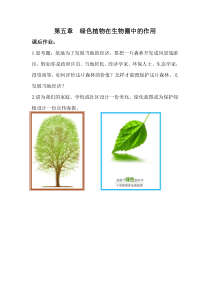 《第五章 绿色植物在生物圈中的作用》作业-冀少儿版生物八年级上册