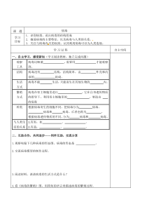 《第二节 病毒》导学案-冀少儿版生物八年级上册