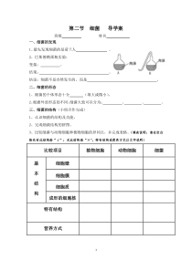 《第一节 细菌》导学案2-冀少儿版生物八年级上册