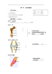 《第一节 运动的基础》导学案-冀少儿版生物八年级上册