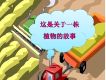 《第三节 无机盐与植物的生长》PPT课件2-冀少儿版生物八年级上册