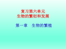 《第二节 动物的生殖发育》PPT课件1-冀少儿版生物八年级下册