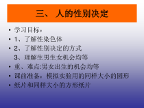 《第三节 人的生殖和胚胎发育》PPT课件1-冀少儿版生物八年级下册