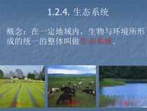 《第一节 生态系统的组成和类型》PPT课件5-冀少儿版生物八年级下册