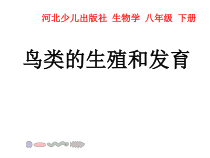 《第二节 动物的生殖发育》PPT课件4-冀少儿版生物八年级下册