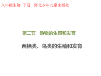 《第二节 动物的生殖发育》PPT课件2-冀少儿版生物八年级下册
