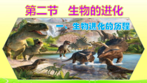 《第二节 生物的进化》PPT课件2-冀少儿版生物八年级下册