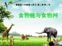 《第二节 食物链和食物网》PPT课件1-冀少儿版生物八年级下册