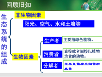 《第二节 食物链和食物网》PPT课件2-冀少儿版生物八年级下册