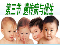 《第三节 遗传病与优生》PPT课件4-冀少儿版生物八年级下册