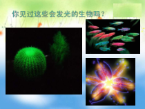 《第四章 现代生物技术》PPT课件1-冀少儿版生物八年级下册