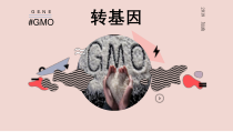 《第四章 现代生物技术》PPT课件2-冀少儿版生物八年级下册