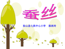 北师大版数学四年级下册3.5《蚕丝》PPT课件(共17页)