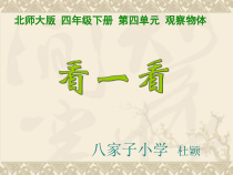 北师大版数学四年级下册4.1《看一看》PPT课件(共16页)