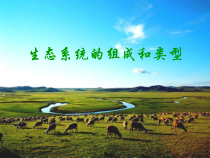 《第一节 生态系统的组成和类型》PPT课件3-冀少儿版生物八年级下册