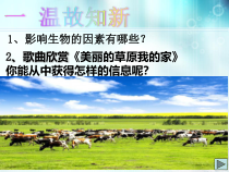 《第一节 生态系统的组成和类型》PPT课件4-冀少儿版生物八年级下册