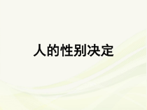 《第一节 遗传》PPT课件1-冀少儿版生物八年级下册