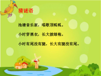 北师大版数学四年级下册5.1《字母表示数》PPT课件(共23页)