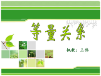 北师大版数学四年级下册5.2《等量关系》PPT课件(共20页)
