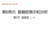 北师大版数学四年级下册6.2《栽蒜苗（一）》PPT课件(共16页)