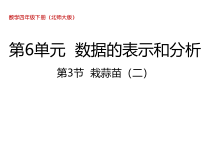 北师大版数学四年级下册6.3《栽蒜苗（二）》PPT课件(共17页)