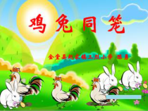 北师大版数学四年级下册-数学好玩《（通用）鸡兔同笼》PPT课件(共15页)