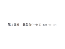 第3课时 栽蒜苗（一）（2）-北师大版数学四年级下册